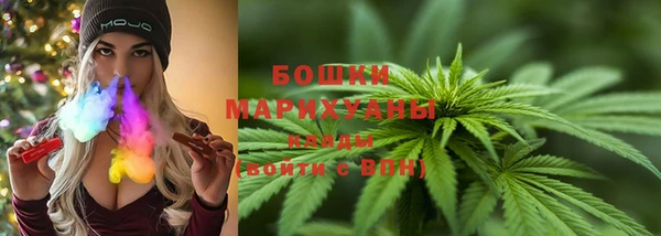 прущие грибы Наволоки