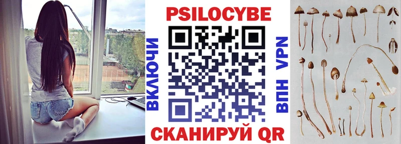Галлюциногенные грибы прущие грибы  что такое   Биробиджан 